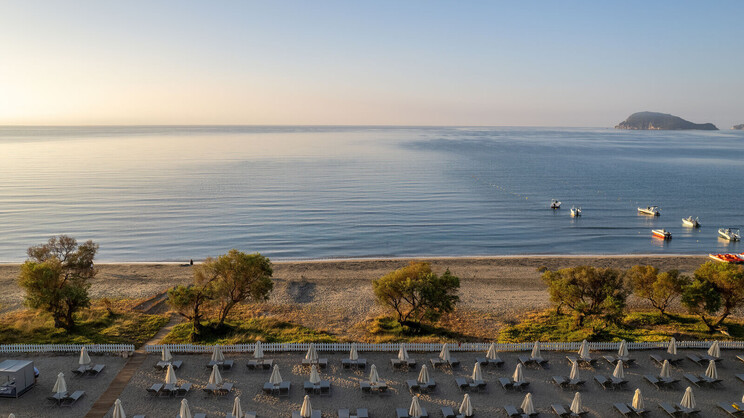 Domes Aulus Zante, Autograph Collection